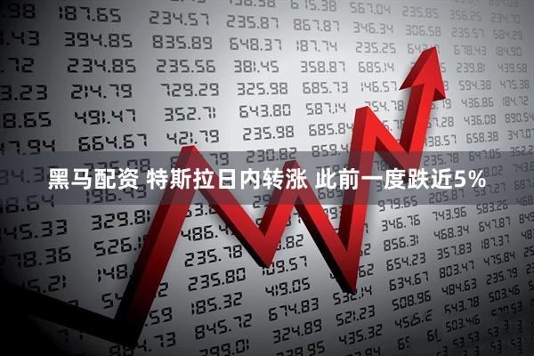 黑马配资 特斯拉日内转涨 此前一度跌近5%