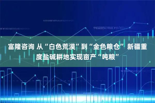 富隆咨询 从“白色荒漠”到“金色粮仓” 新疆重度盐碱耕地实现亩产“吨粮”