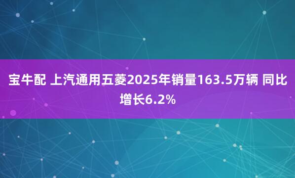 宝牛配 上汽通用五菱2025年销量163.5万辆 同比增长6.2%